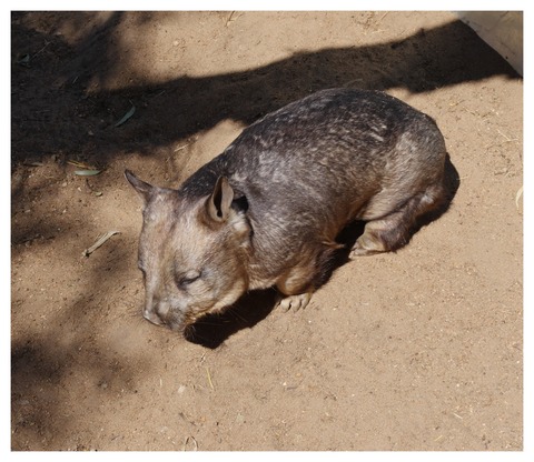 63754D05-FC39-43BF-9F7D-2485C6B8AB78