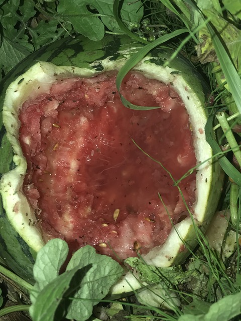 1B900FBF-8E20-47A7-9B8A-3512BABB2A0F