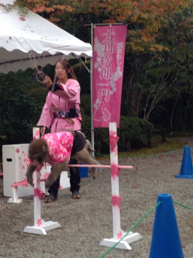 イメージ 9