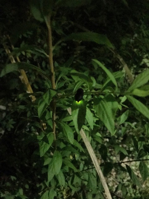 836CA86F-ABE7-4A5E-9B1F-54ABD6AD240E