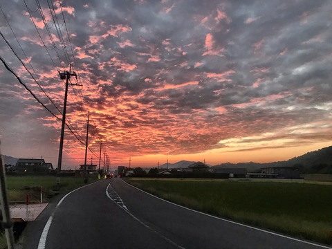 47E579C1-E68E-417B-B541-8F0D8B496776