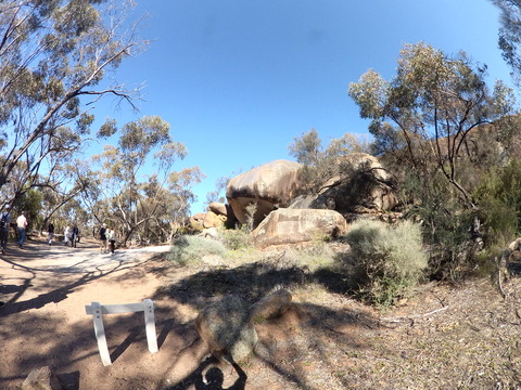 11EDCFDA-B487-4B76-910A-8C9934454BE6