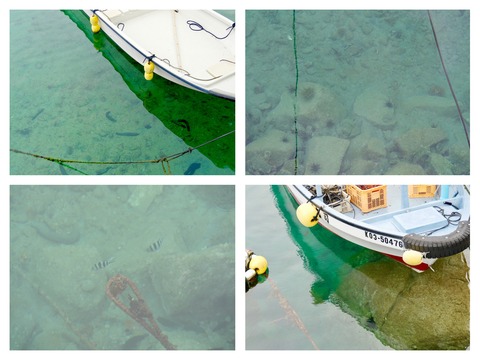 D742C570-AD5A-4628-93A8-15489CC26558