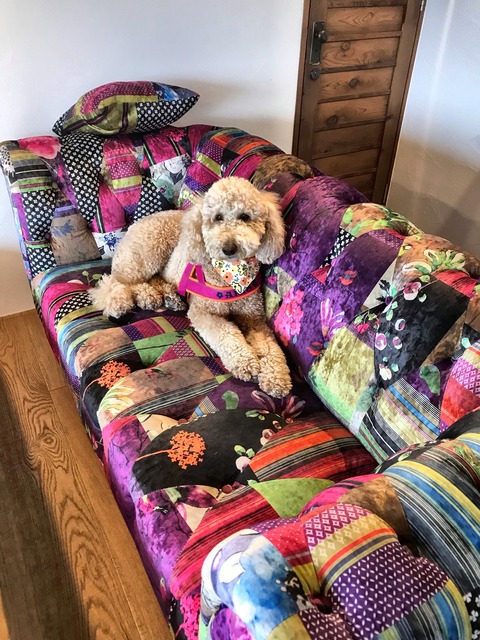 3F7ABDEE-958A-4D95-BF2B-6A32FCBFB59F