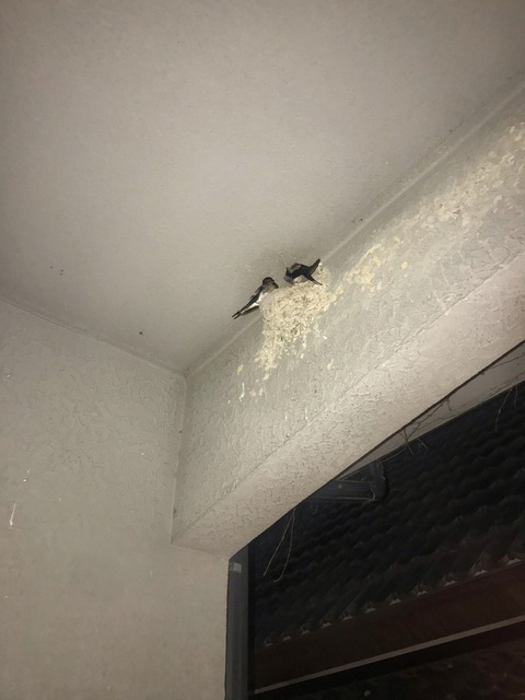 2485DFF5-A8CF-4AD4-AF82-2A82E86835F0