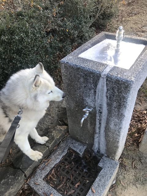 95C7A642-9EF5-4493-9171-123217D0AA90