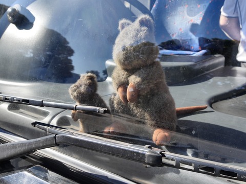 D019704B-FB68-4B67-ACB8-E9C8BE2842FA