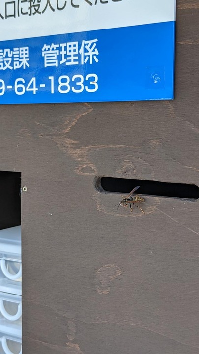 E8498843-6C78-4CAB-B5D0-FCF9D95326D7