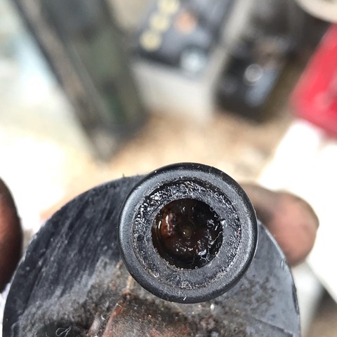 428306CB-6038-46DE-AC91-199B219E36DC