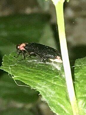 7723CF25-E830-4857-BBE8-5D871F4B8612