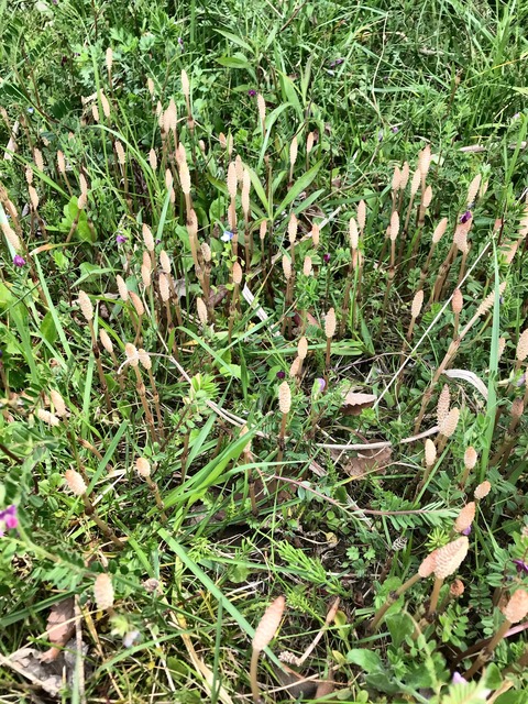 E01F8762-091B-4AAB-8FBA-4A1791A9C2CA