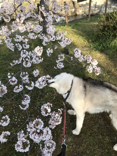 DDA02D75-6717-4A6B-AECF-53753AC4089B