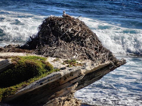 A03EA615-C8DE-4640-BBD0-DE32309EA373