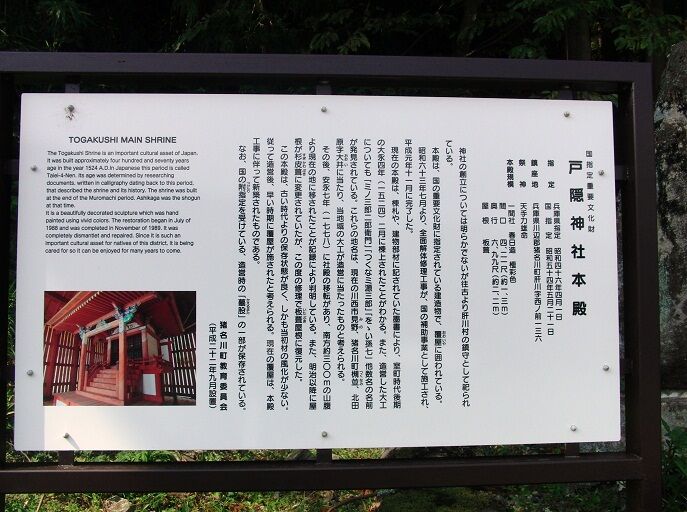 イメージ 11