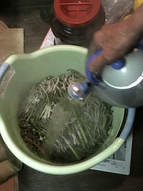 17433C88-AFF3-4F9A-99A8-101135589C39