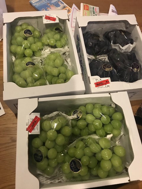 98826924-1DAA-40C9-9F6B-1F82741C7B08