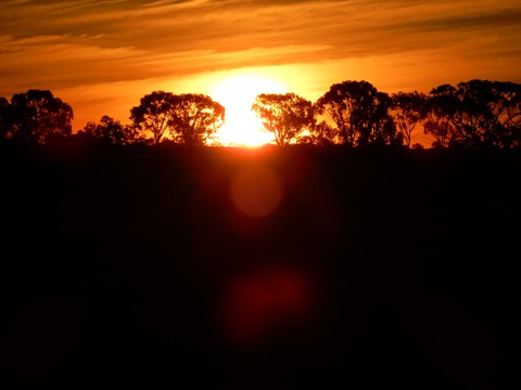 D95CDA83-C1F3-4BC0-B7DD-D0DBA638E83B