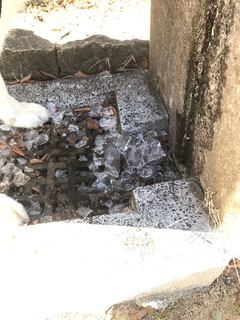 F87F08EA-6660-4357-8CA7-72AD2A13AE12