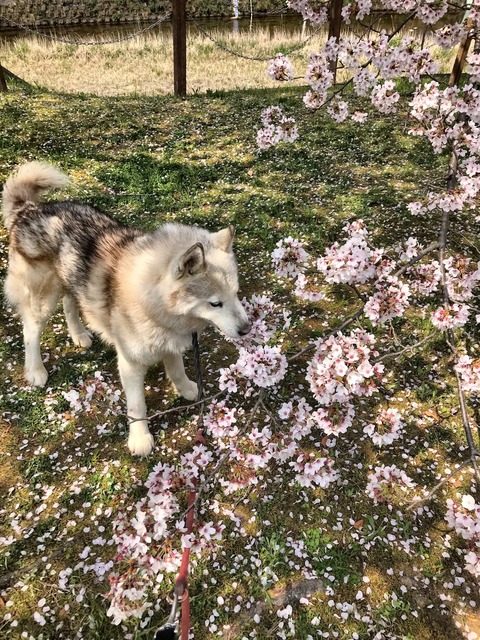 F7A84714-F123-412D-A728-F2E7FCCEDDB5