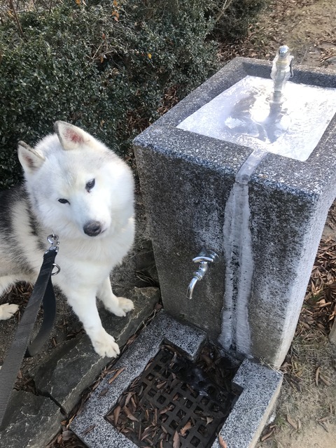 7E845725-14E2-4812-BAE3-6A1799354556