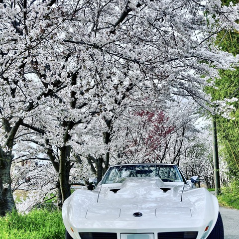 A071BF6C-F898-4693-92FF-D375DE15DF0E