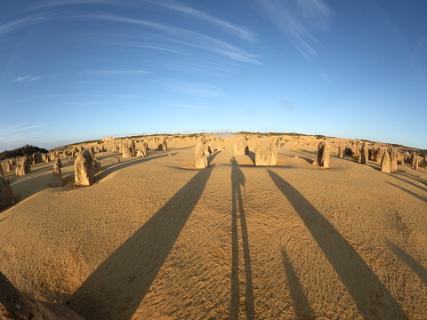 8243B816-28BA-4DAE-B010-263A188E7937