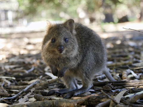 C1F7FD16-9008-486A-9DBE-378E76356DAC