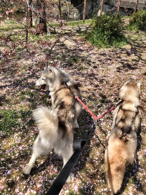 35AB025F-7A0C-445E-BEF2-E4F136160ADD