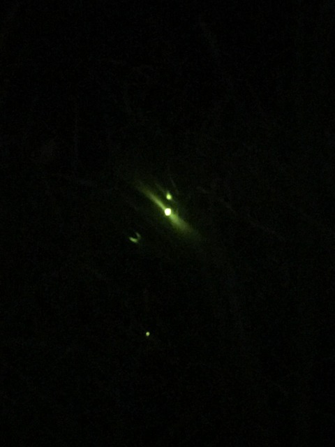 89EE05F9-5ADB-43F1-AF11-C3A6F96ED8A1