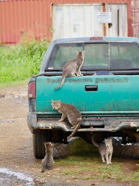 8C489475-B52D-46E9-833B-AB306F5544C4