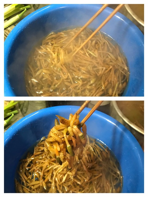 0EEF0BDF-6C76-441E-B395-CC9B677E4BEC