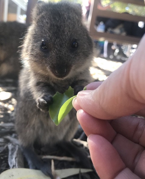 44EEC2DD-B507-4B69-82B0-0DAA326160FE