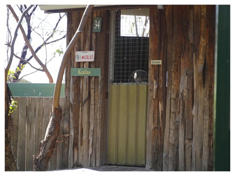 A1B6B1B2-BBF1-4EDD-B796-A3896B7C42F8