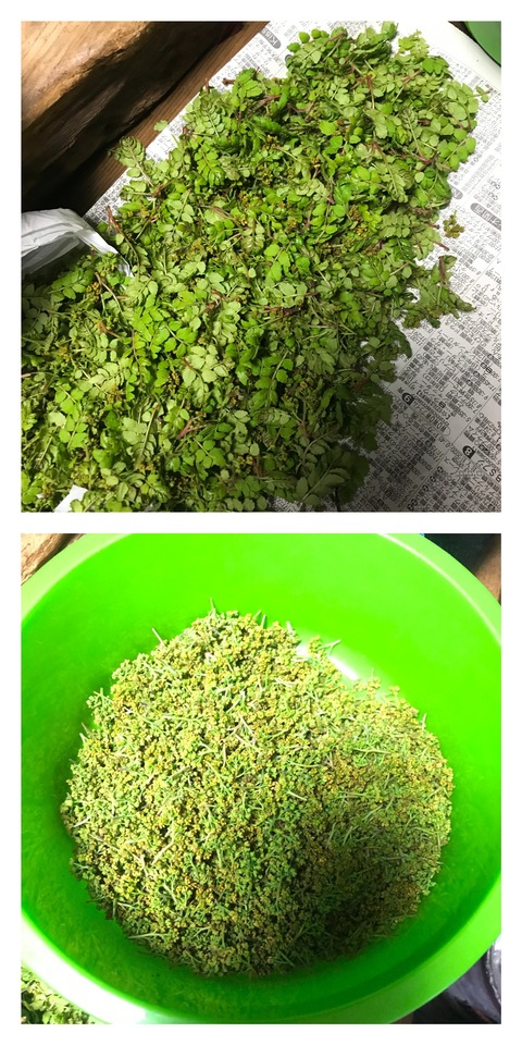 470F087F-D8B1-4C0A-83FC-59CFE5D6018B