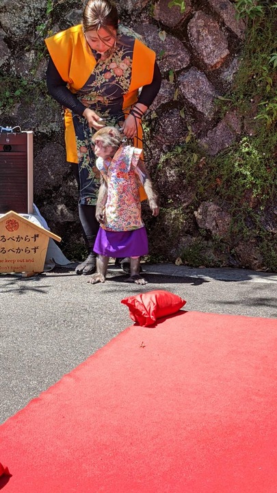 C021ADA2-E6AF-47C2-8B3B-F884AC674FAC