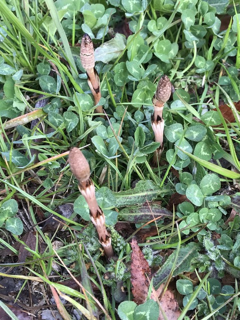 444BC326-5826-420B-95C8-E4C91962FF80