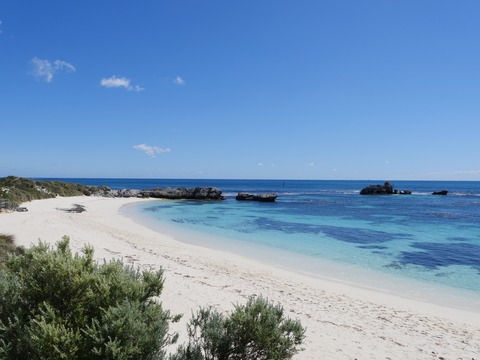 B8247E06-F64A-4564-AC31-E3B2A4D39099