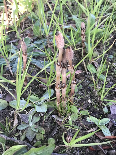 7D3E280B-3F72-4DEF-ABF0-C2217DD4D2D0