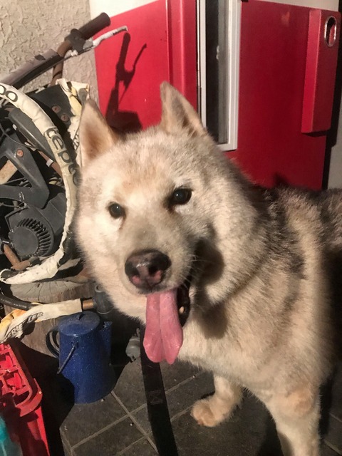 1AAB4A6E-B5AC-4B61-8DD1-75AC77BD6E05