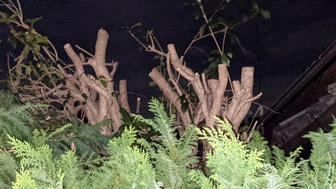 D81644CF-814C-4412-98AD-216534F0C4D5