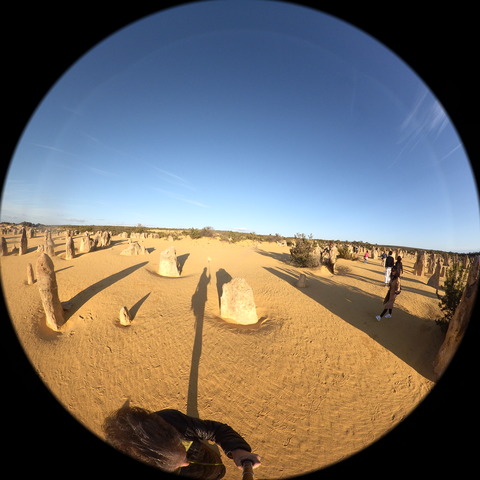 565FB7AF-B684-432D-A5DB-ADB28982A255