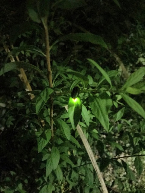 EFB3EFC6-E8B2-465F-B5E5-28ECDC7DAEF9