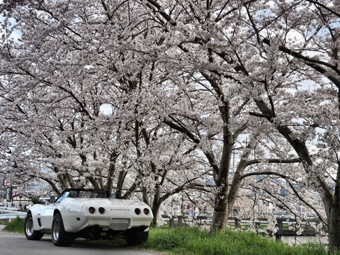 5A13D4F9-B130-4022-9B05-70E003AA9E97