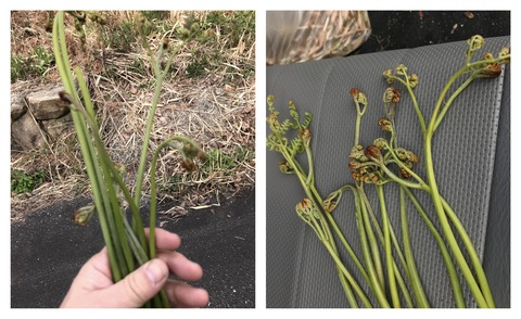 7D45CD37-7526-4695-B7C8-7F0933465282