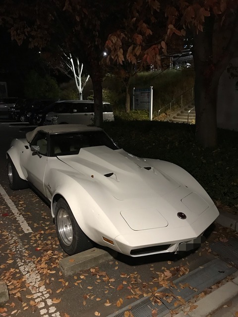 D8FBB6DB-B53E-4344-9961-CD36E2E6F0D6