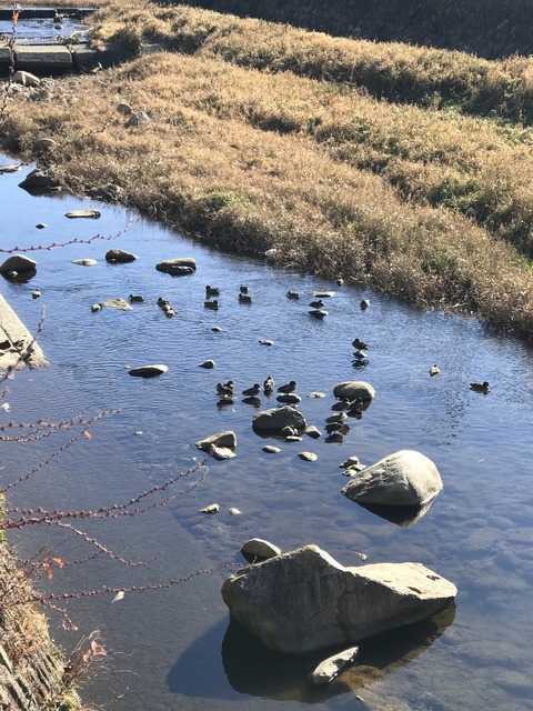 34EF8B70-C26C-42A5-94B7-ABB524CE5767