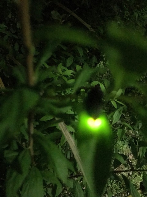 DA129FFB-D670-40BD-8094-F2D96968BAA9