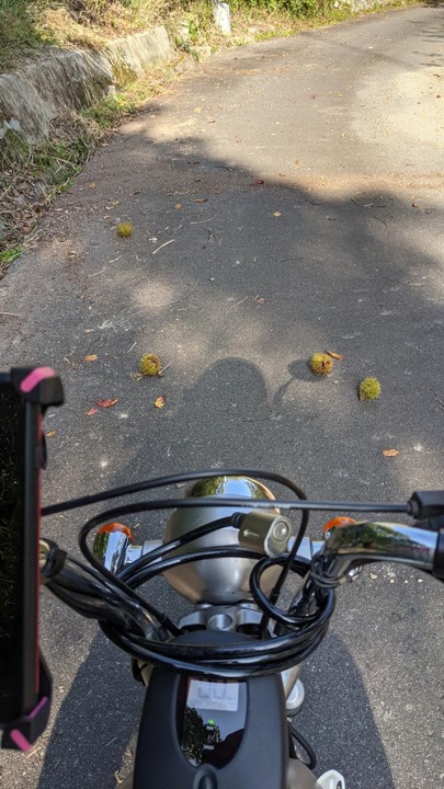 D84D6980-9C2C-411A-8D97-07844A61843E