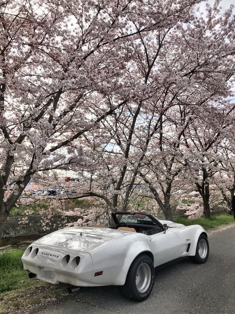 8200EE29-6910-44D2-A665-0154B9BB5B85