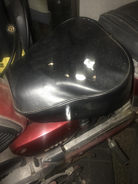 17C07FAF-06AF-434E-A387-C0C6D66BBA1E